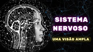 Sistema Nervoso uma visão ampla  Fisiologia Humana [upl. by Jason427]