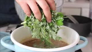 Benefits Of Mugwort Tea [upl. by Mord472]