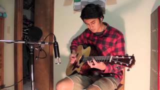 Krewella  Alive Acoustic Version Cover by Cole Kawika [upl. by Wye686]