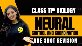 Neural Control and Coordination Biology  Class 11th Biology One Shot Revision By Sonam Maam [upl. by Azmuh]