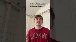 Follow Your Arrow  Kacey Musgraves  Review [upl. by Eisenhart]