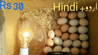 How To Make an Egg incubator at Home  Cardboard Box Egg incubator [upl. by Fafa]