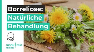 Chronische Infektionen Natürliche Behandlung bei Borreliose🌱 Marlon Drescher [upl. by Mills]