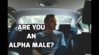 Jordan Peterson Are You An Alpha Male [upl. by Dhaf208]