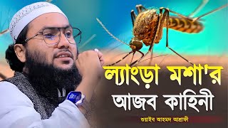 ল্যাংড়া মশার আজব কাহিনী  শুয়াইব আহমদ আশ্রাফী  Shuaib Ahmed Ashrafi  Ashrafi Bangla Waz 2024 [upl. by Hsetirp]