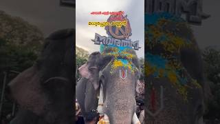 പഴഞ്ഞി പള്ളി പെരുന്നാൾ song elephant nature [upl. by Stanway518]