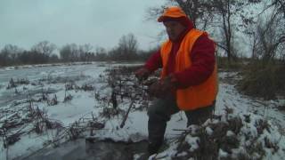 Day 5 muskratminkand weasel trapping [upl. by Budde]