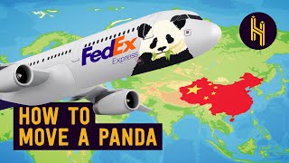 Why China Took the US’ Pandas [upl. by Shoshanna219]