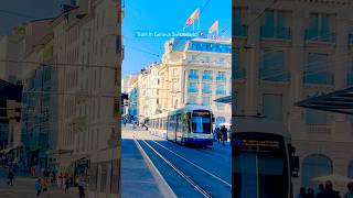 Tram in Geneva Switzerland 🇨🇭 shotrs travel genf switzerland [upl. by Ettezel]