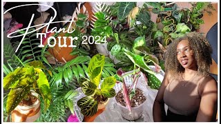 PLANT TOUR 2024🌱tropical plants plant care pest prevention leca amp more [upl. by Gelasias677]