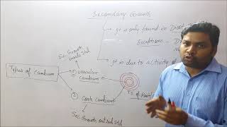 Secondary growth part1 Cambium amp its types [upl. by Maclean]