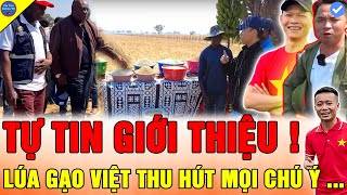 🔴Team Quang Linh Vlog KHIẾN NGÀI BỘ TRƯỞNG KINH NGẠC VỀ NHỮNG BAO THÓC HẠT GẠO TỪ TRỒNG LÚA CHÂU PHI [upl. by Lipcombe212]