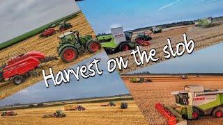 harvest on the south slob 24 [upl. by Naid]