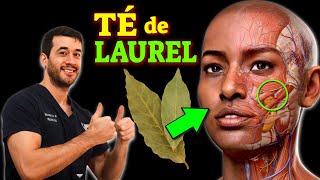 ENFERMEDADES que SANAN con TÉ de LAUREL CÓMO USARLO [upl. by Yemaj921]