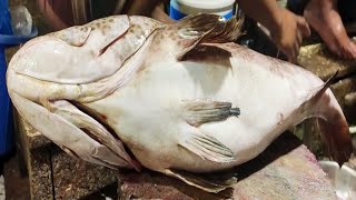 Giant Hamour Fish Cleaning amp Chopping By Expert Fish Cutter In Bangladesh Fish Market [upl. by Duck644]