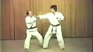 Ippon Kumite [upl. by Asilad]