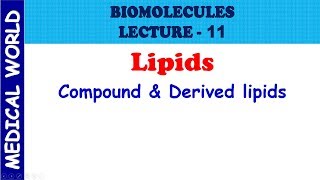 BIOMOLECULES  COMPOUND AND DERIVED LIPIDS  LECTURE 11 [upl. by Tawnya868]