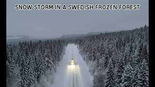 SNOW STORM IN A SWEDISH FROZEN FOREST [upl. by Lucila79]