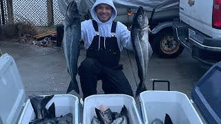 Best pollock fishing on a party boat [upl. by Octavie936]