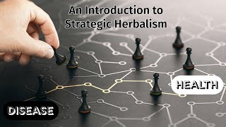 Introduction to Strategic Herbalism [upl. by Harmonia]