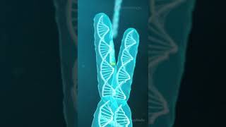 MEN are DYING Scientists Reveal MensYCHROMOSOME is in DANGER [upl. by Melac]