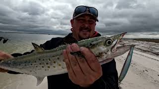 Fishing the surf and pass in Panama City Florida The mackerel are here [upl. by Annabella]