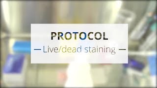 Protocol  livedead staining [upl. by Reagen71]