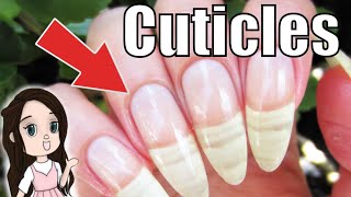 How To Use Cuticle Remover [upl. by Yodlem464]