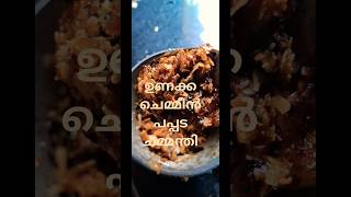 ഉണക്ക ചെമ്മീനും പപ്പടവും കൊണ്ടുള്ള ചമ്മന്തി short chammanthi viralvideo youtubefeed [upl. by Bacchus]