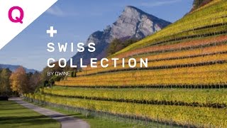 Qwinech  Swiss Collection Weingut Hermann [upl. by Coleman778]