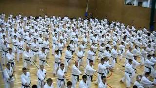 Kanazawa Soke Uk SKKIF Seminar Training [upl. by Eelitan448]