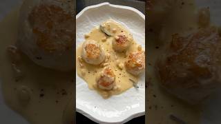 scallops food cooking [upl. by Grosmark]