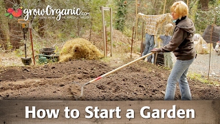 How to Start a Garden [upl. by Irollam]