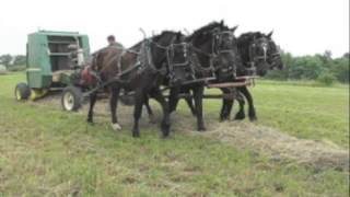 Baling hay using horsepower [upl. by Sager99]