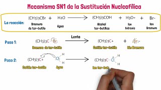 Sustitución Nucleofílica SN1 [upl. by Zindman]