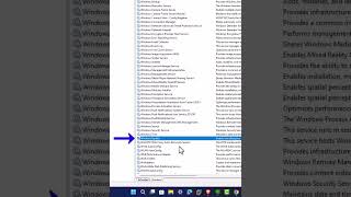 How to Disable Windows 11 Update [upl. by Aserehs]