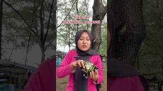 Ciki ciki berhadiah pesawat kreatif comedy lucu tips hiburan shortvideo [upl. by Iams650]