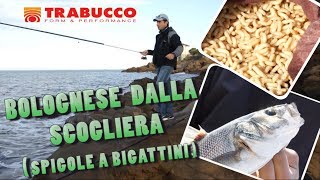 Trabucco TV  Canna bolognese dalla scogliera [upl. by Armand]