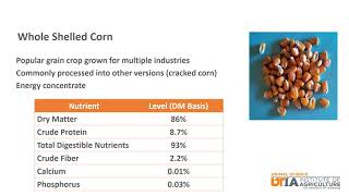 Beef Skillathon Study Series Feedstuffs [upl. by Hippel]