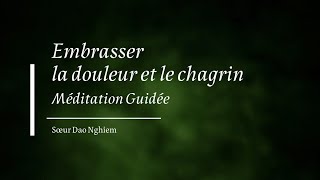 Méditation guidée sur la douleur et le chagrin  Sr Dao Nghiem [upl. by Enyamrahc988]