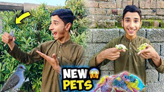 Faizan Cute Pets La Aya😍FULL Excited Video 😱 [upl. by Shir]