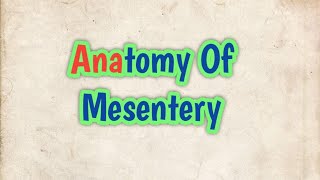 Anatomy of Mesentery l abhishekghoolibmcri [upl. by Imre420]