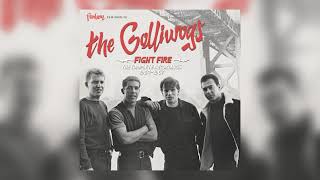 Porterville by The Golliwogs from Fight Fire The Complete Recordings 19641967 [upl. by Mortimer]