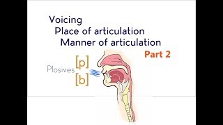 Voicing Place amp Manner of Articulation  Part 2 [upl. by Kho322]