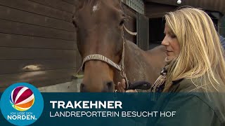 Pferde Landreporterin besucht Trakehner Gestüt in Plön [upl. by Allesig]