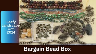 Unboxing Bargain Bead Box Leafy Landscape Monthly subscription for Oct 2024 [upl. by Aniara]