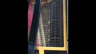 The Inside of a Piano Using a Damper Pedal [upl. by Evol]