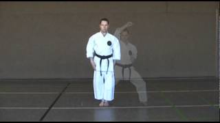 Deutsche Karatemeisterschaft Shito Ryu Shukokai 2014 [upl. by Kobi]