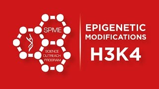 Epigenetic Modifications  H3K4 [upl. by Ralyks]