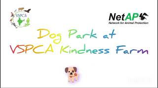 VSPCA Dog Park at Kindness Farm [upl. by Peppard]